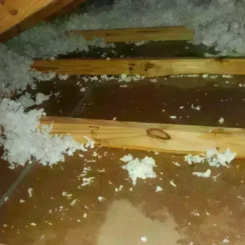 Attic Water Damage in Junction City, KS